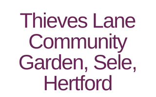 Thieves Lane Community Garden, Sele, Hertford