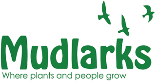 Mudlarks Community