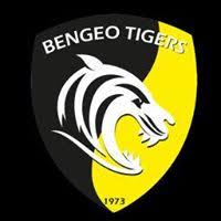 Bengeo Tigers Youth Football Club